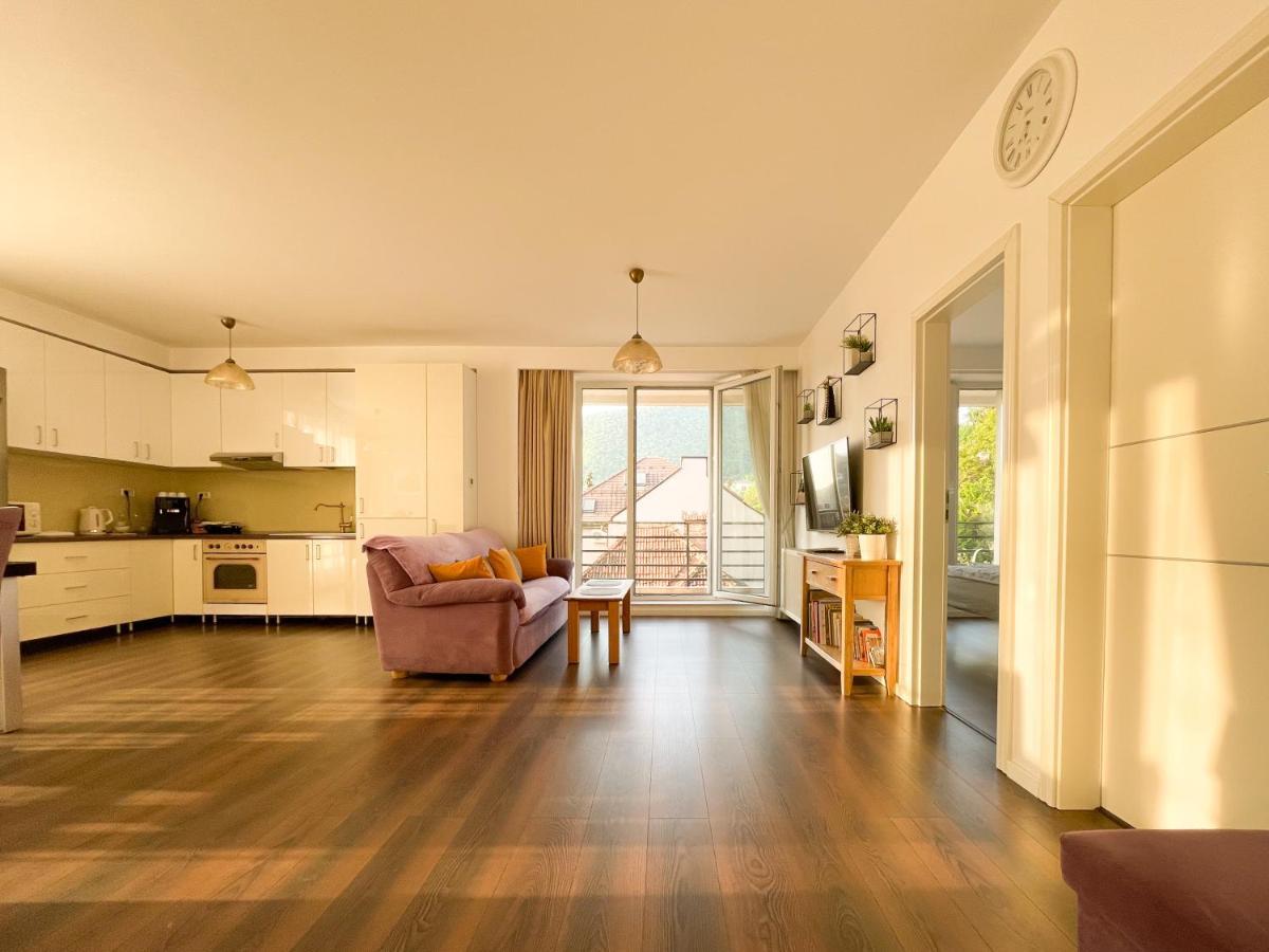 Central Premium Apartment Braşov Buitenkant foto